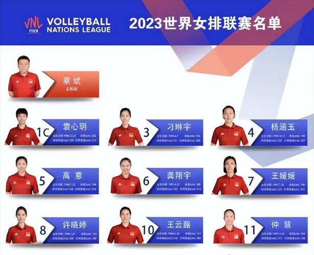 2016中国女排队员名单及号码